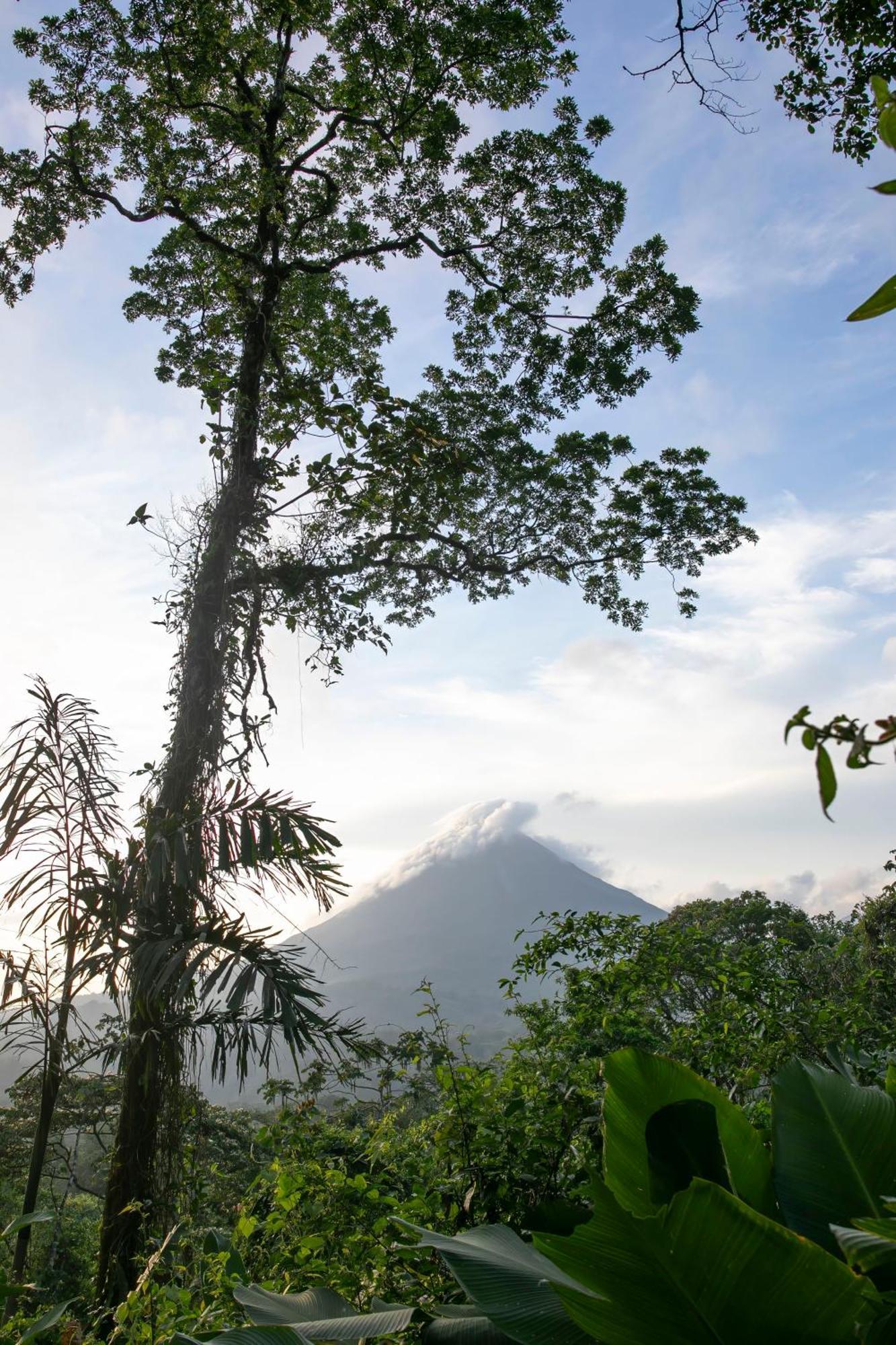 Sangregado Lodge La Fortuna Eksteriør bilde